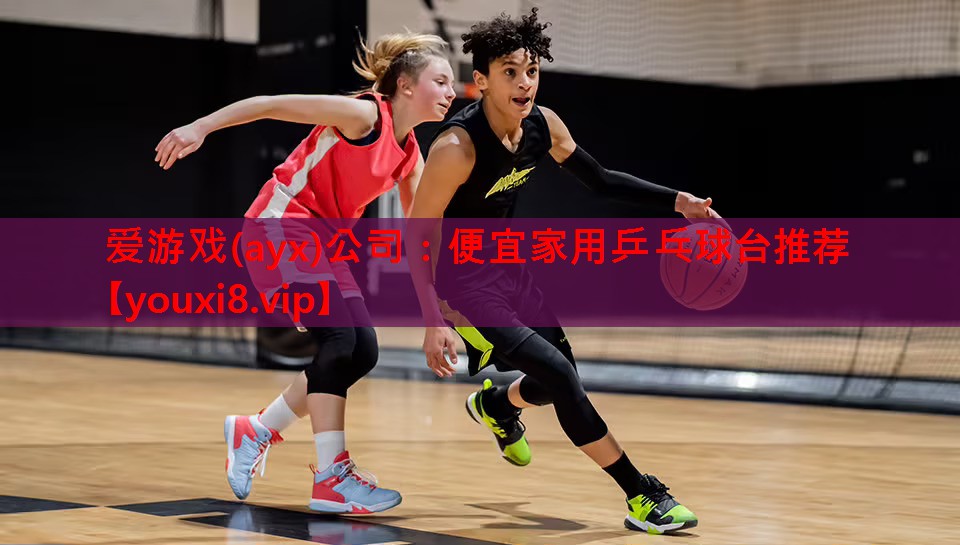 爱游戏(ayx)公司：便宜家用乒乓球台推荐