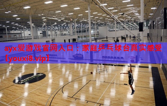 ayx爱游戏官网入口：家庭乒乓球台真实感受