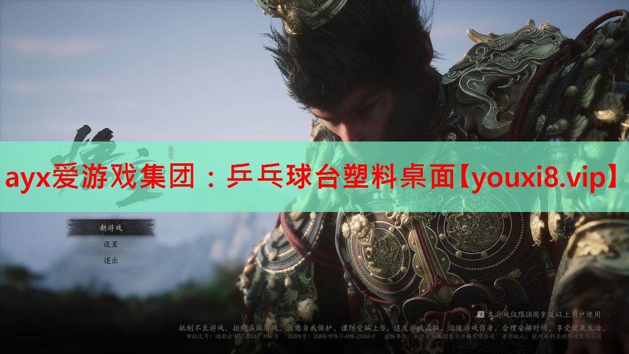 乒乓球台塑料桌面 乒乓球台塑料桌面