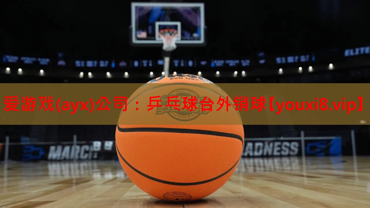 乒乓球台外销球 乒乓球台外销球