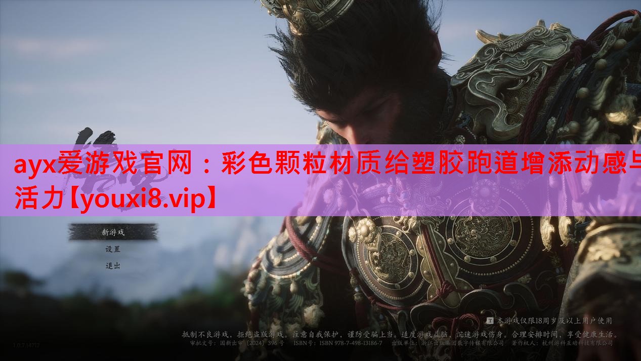 彩色颗粒材质给塑胶跑道增添动感与活力 彩色颗粒材质给塑胶跑道增添动感与活力